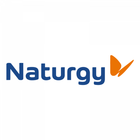 Naturgy